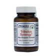 Tribulus Synergy