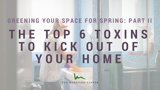 The top six toxins to kick out of your home