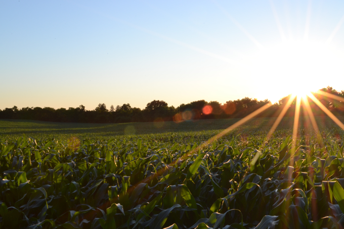 Why Vitamin D is So Important to Our Health