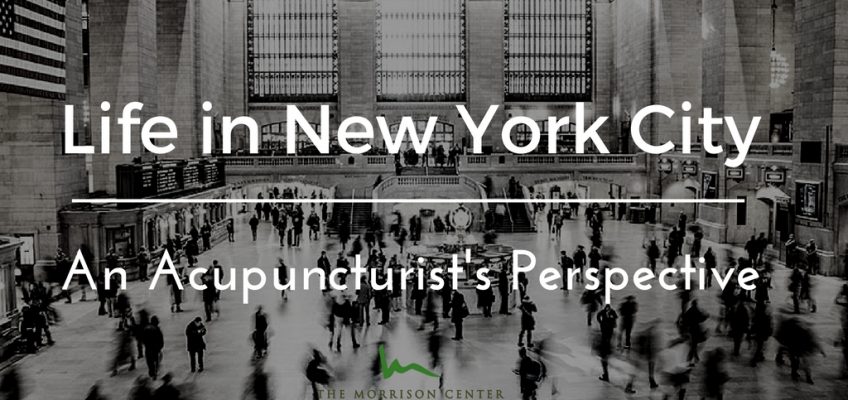 Life in New York City: An Acupuncturist’s Perspective