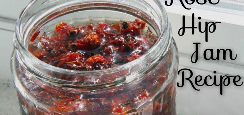 Rose Hip Jam Recipe