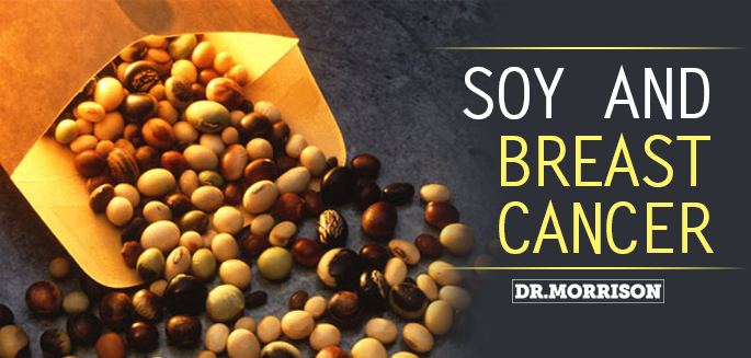 Breast Cancer Risk: Can Soy Help?