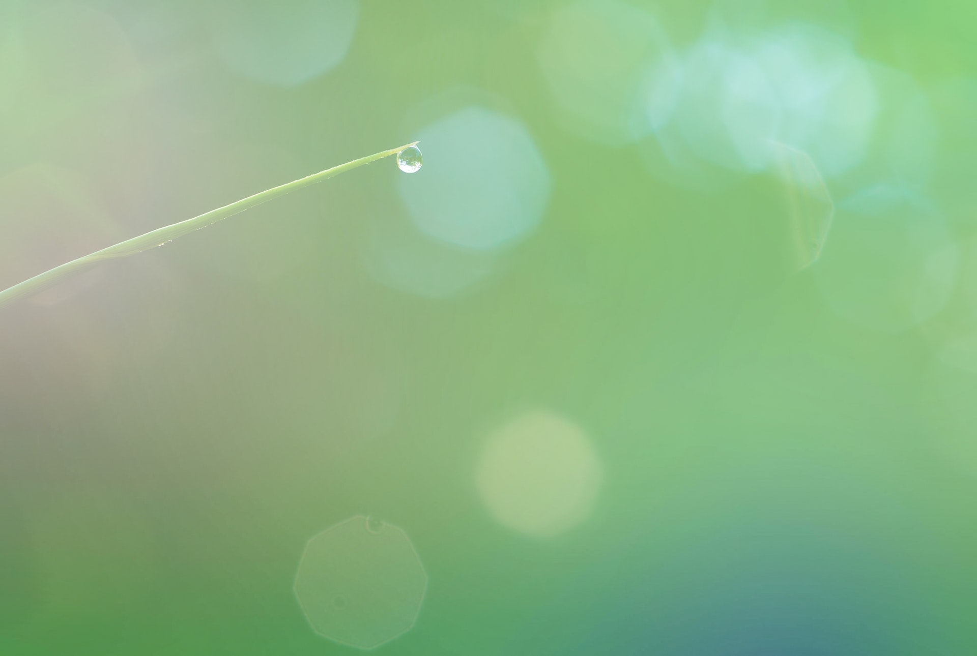 Green background