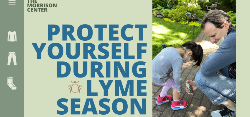 Protect Yourself During Lyme Season
