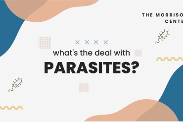 Unpacking Parasites